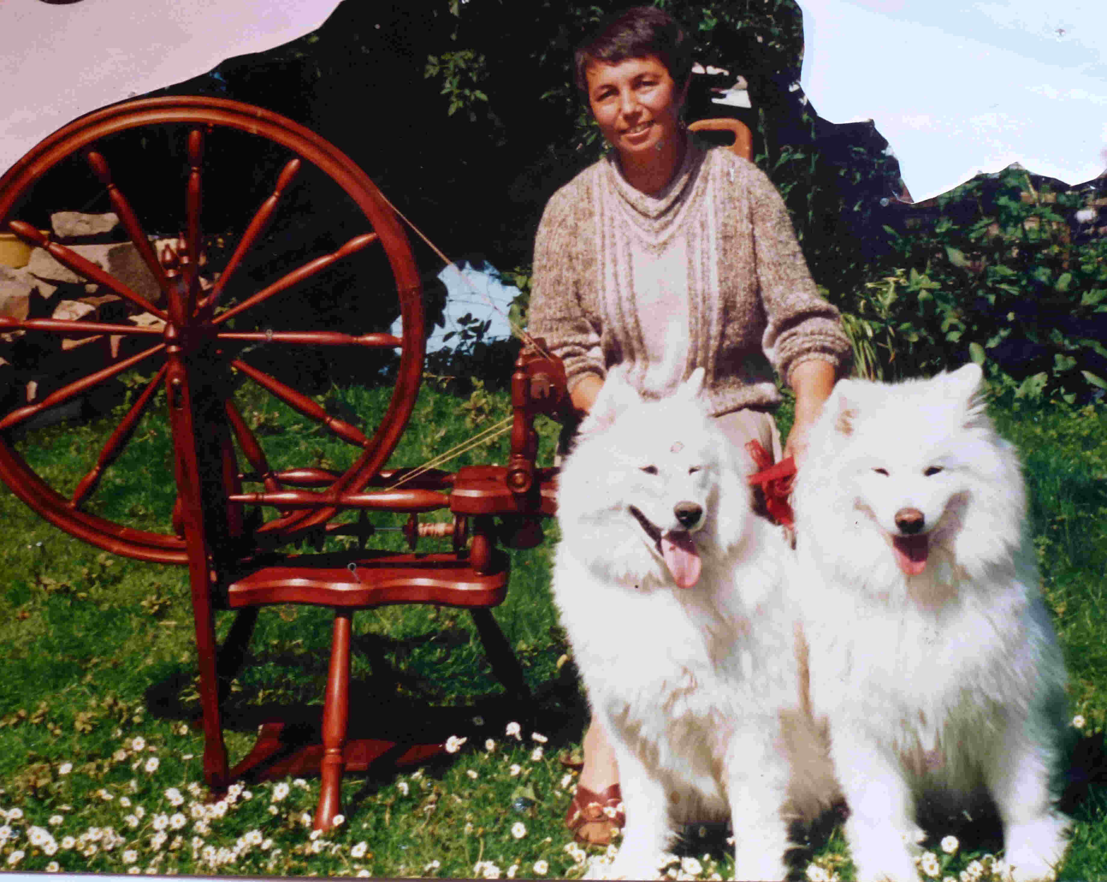 maureen with Samoyed dogs